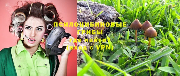 гашик Абинск