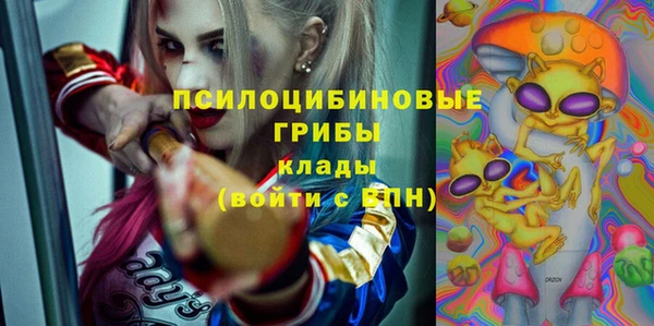 PSILOCYBIN Алексеевка