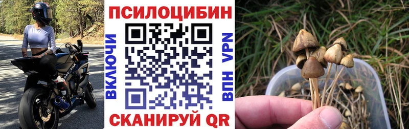 Галлюциногенные грибы MAGIC MUSHROOMS  наркотики  Тюкалинск 