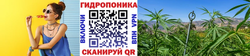 Бошки марихуана конопля  цены наркотик  Тюкалинск 